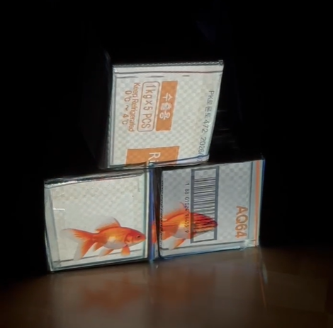 Final goldfish rendering, though minor imperfections remain—a natural consequence of AI generation.